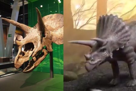 triceratops cosmocaixa