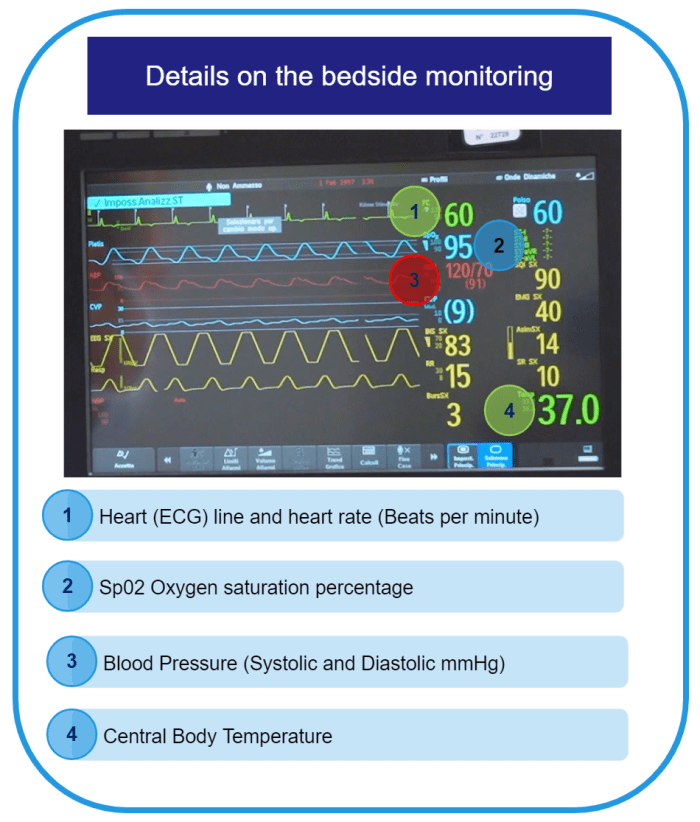 formación metaverso